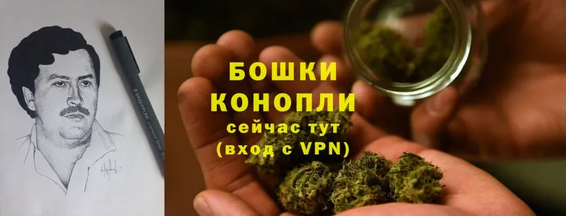 наркошоп  Кохма  Шишки марихуана Ganja 